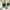 Green, variant on Artificial Tree with Ground Spike, 23'' Fake Plant UV Resistant Artificial Shrubs, Faux Cypress Plant Fake Bushes for Front Porch Garden Indoor Outdoor 50% Saving