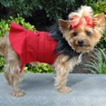 thumbnail image 4 of Doggie Design Wool Fur Trimmed Dog Harness Coat with Leash (M, Red), 4 of 4