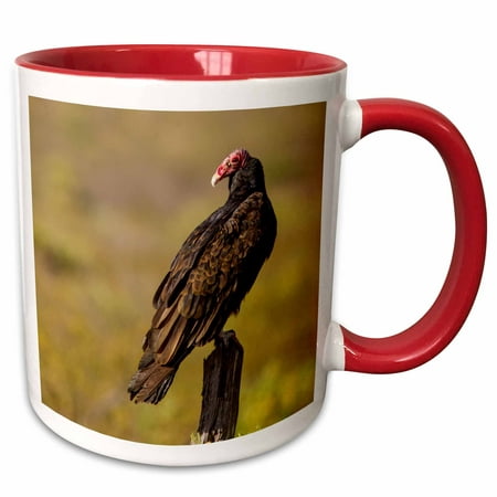 3dRose Turkey vulture in Big Bend National Park, Texas. - Two Tone Red Mug,