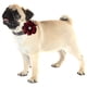 thumbnail image 5 of Collar de nailon con lazo para perro y gato con flor de geranio y cascabeles de perla., 5 of 5