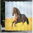 thumbnail image 4 of Ambesonne Horses Shower Curtain, Meadow Mystery Horse, 69"Wx84"L, Yellow Brown Blue, 4 of 5