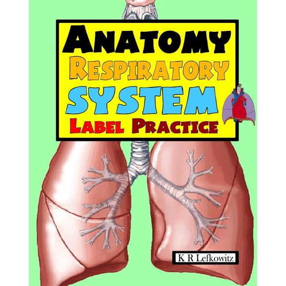 Anatomy Respiratory System Label Practice