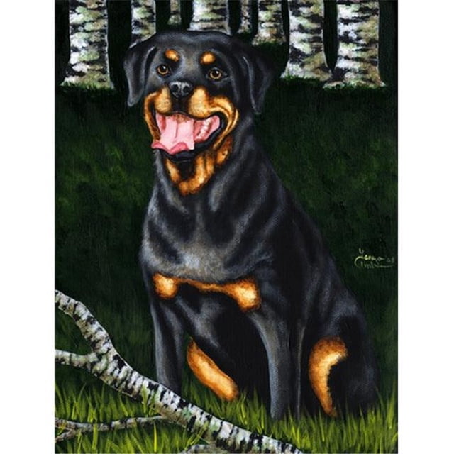Carolines Treasures AMB1388GF Compagnon de Jardin Drapeau Rottweiler