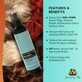 thumbnail image 4 of Sunny Isle Just for Wig, Weave, Braid, & Extensions Wig Shine 8oz | For Synthetic & Natural Hair | UV Protectant with Vitamin E, Jamaican Black Castor Oil | High Shine Finishing Spray, 4 of 7