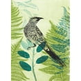 thumbnail image 3 of Rice, Trudy 11x14 Black Modern Framed Museum Art Print Titled - Wattlebird Hiding in the Fernery, 3 of 5