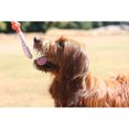 thumbnail image 5 of Dog Toys HUOGUO, paquete de 10 unidades para perros grandes, juguetes duraderos para masticar, 5 of 5