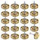 thumbnail image 1 of Uxcell 20-Pack Tapas de Tornillo para Espejo, 1" Diámetro Tapas Decorativas de Tornillo de Acero Inoxidable 304 y Clavos Acabado Cepillado [Tono Dorado], 1 of 7