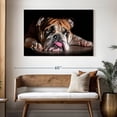 thumbnail image 3 of Elephant Stock Sad Bulldog Wall Art - Horizontal Canvas Wall Art - Living Room Wall Decor - Animal Canvas - Black And Orange Decor - 48" x 32", 3 of 8