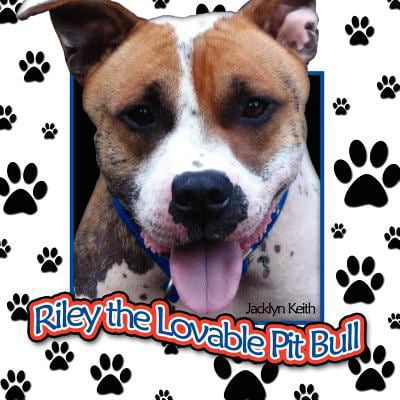 Pre-Owned Riley the Lovable Pit Bull