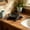 Black, variant on Retros Cast Iron Turtle Soap Box, Decorative Drainage Soap Holder, Durable Heavy Iron Bathroom Storage, Non-Slip Funny Home Organizer, Ideal for Bathroom Garden Courtyard Black