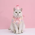 thumbnail image 5 of Pet Birthday Set - Dog Cat Adjustable Soft Velvet Bow Felt Hat - Embroidered Plaid Colored Lace Trim Bib Set - Pet Photography Props, 5 of 8