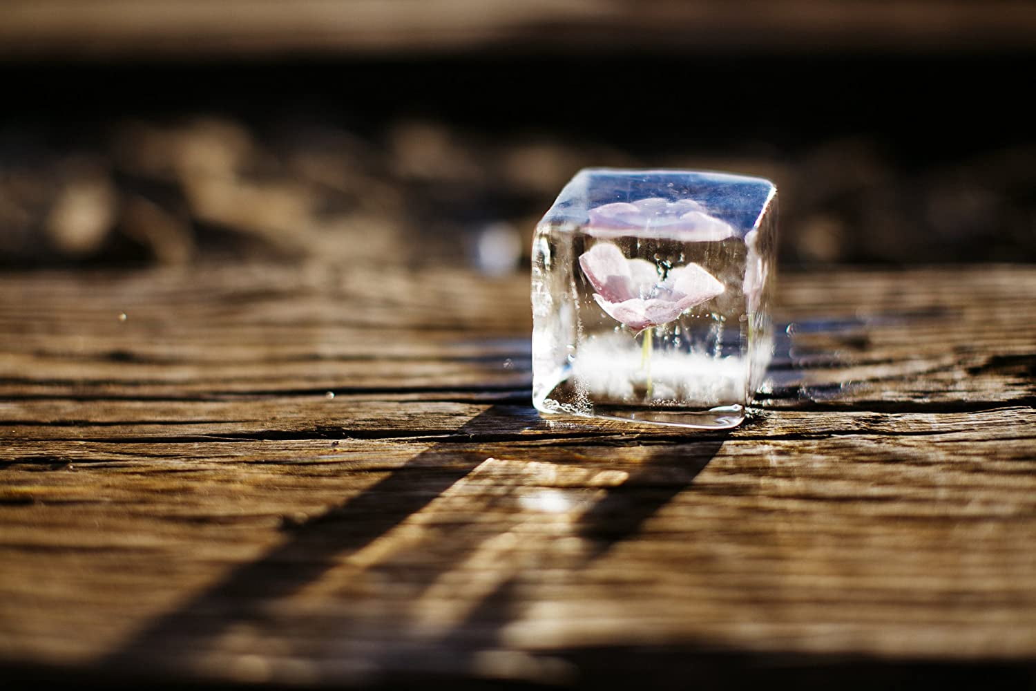 - Ice Cube Maker - Fast 2 Inch  Cubes for Home Bar