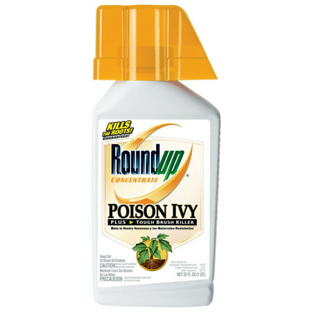 Roundup Concentrate Poison Ivy Plus Tough Brush Killer (32 oz. (Best Way To Kill Poison Ivy On A Tree)