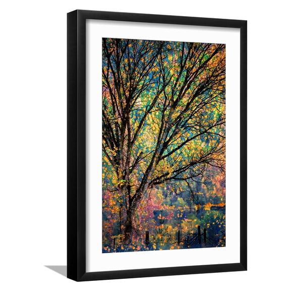 Art.com Kootenay Fall 3 Photographic Print by Ursula Abresch, Black Frame Wall Art, 17" x 23"