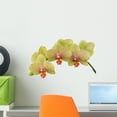 thumbnail image 1 of Bunch Yellow Orchids Wall Decal by Wallmonkeys Peel and Stick Graphic (18 in W x 11 in H) WM115593, 1 of 4