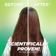 Garnier Fructis Sleek & Shine Anti-Frizz Serum for Frizzy, Dry Hair ...