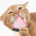 thumbnail image 5 of Jouet à Mâcher pour Chien en Forme de Fruit, Congelable, pour la Dentition et Interactif, au Design Estival, 5 of 5