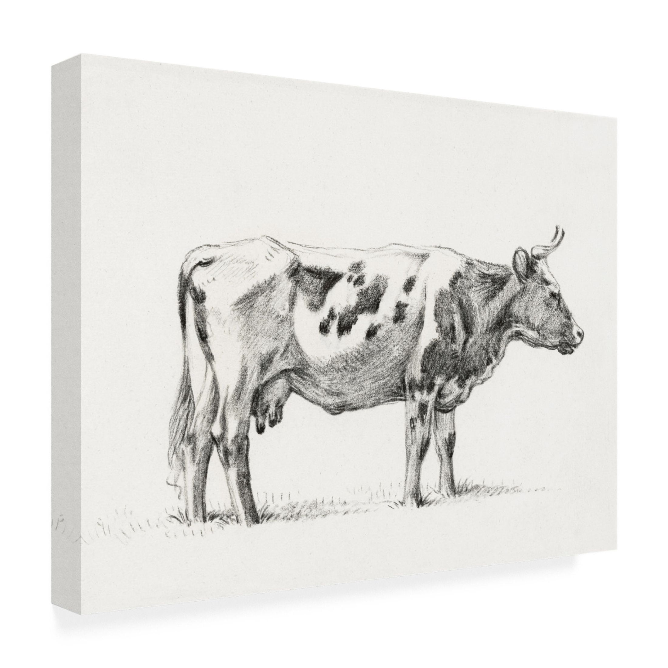 Trademark Fine Art Jean Bernard Bernard Cow Sketch III Canvas Wall Art