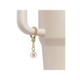 thumbnail image 4 of Letter Charm Accessories Compatible With Stanley Cup 2PCS Initial Name ID Personalized Handle Charm Compatible With Stanley Tumbler, 4 of 4