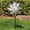 Silver, variant on 1-PC Wind Spinner Sparkly Lawn Pinwheels, 21*9 In Plastic Reflective Pinwheels for Party Decorations/Yard/Garden, Rainbow Garden Windmill , WaterProof Plastic Windmill Wheel