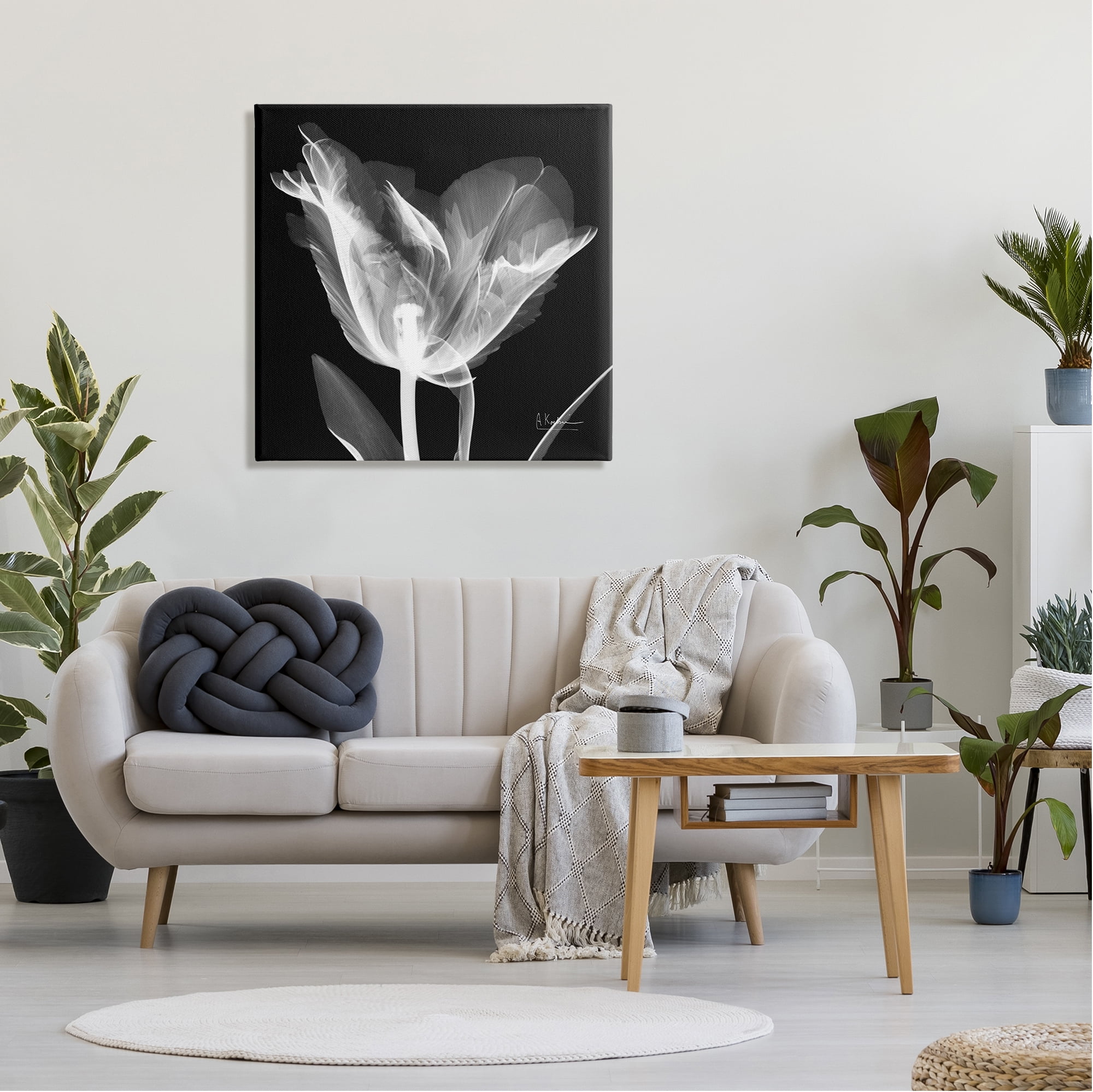 Stupell Industries Tulip Flower X-Ray Botanical & Floral Photography Gallery Wrapped Canvas Print Wall Art, 30 x 30