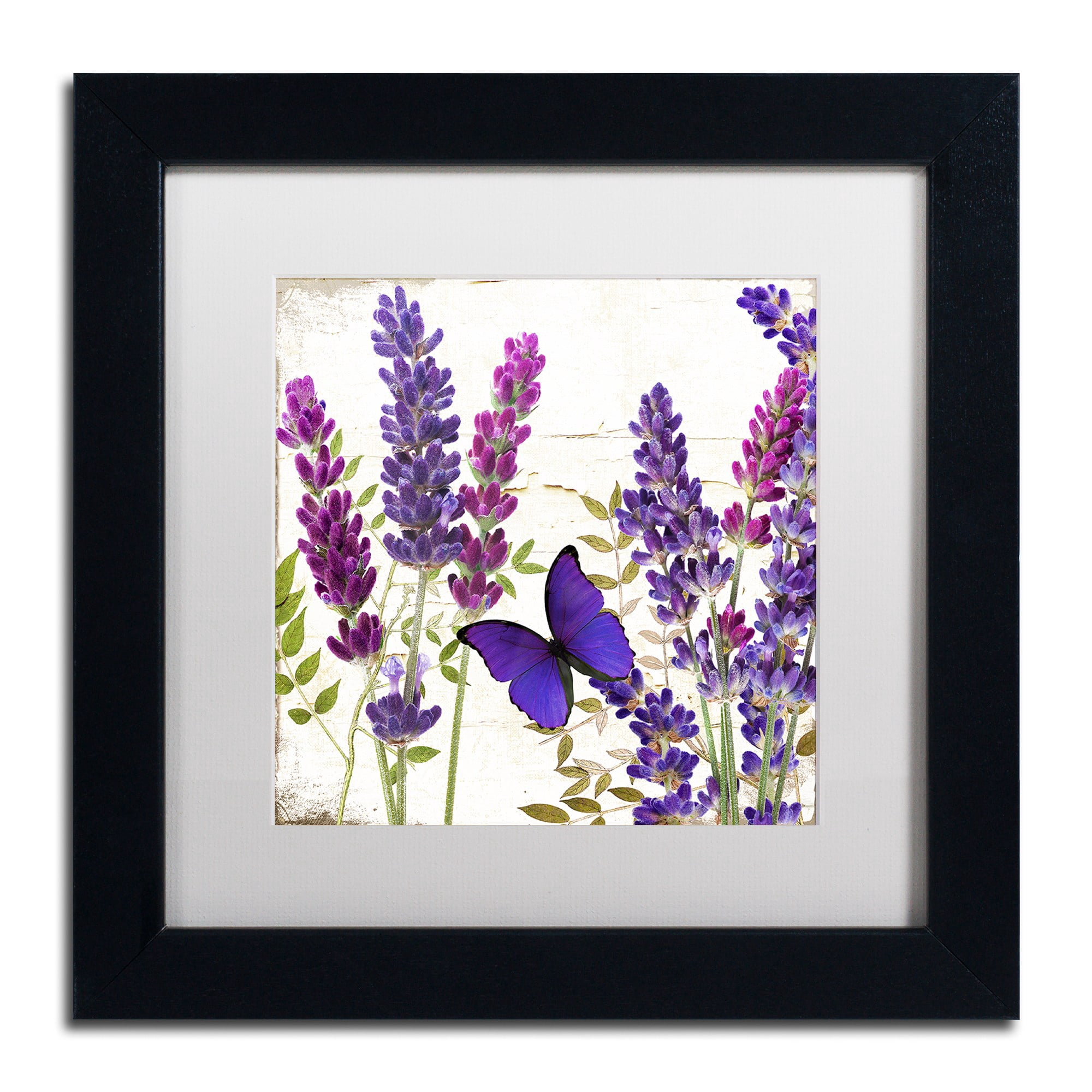 Trademark Fine Art "Lavender I" Canvas Art by Color Bakery, White Matte, Black Frame