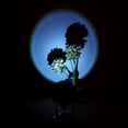 thumbnail image 1 of Sunset Projection Lamp Sunset Light Projector LED Night Light Romantic Visual Ambient Light USB Powered for Living Room Bedroom Studio Decor, 1 of 8