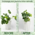 thumbnail image 4 of Reduced,BILIKEYU Monstera Plant Support Clips,Turtle Shell Bamboo Clamps for Climbing Plants, Indoor Outdoor Stem Stabilizer, 4 of 6