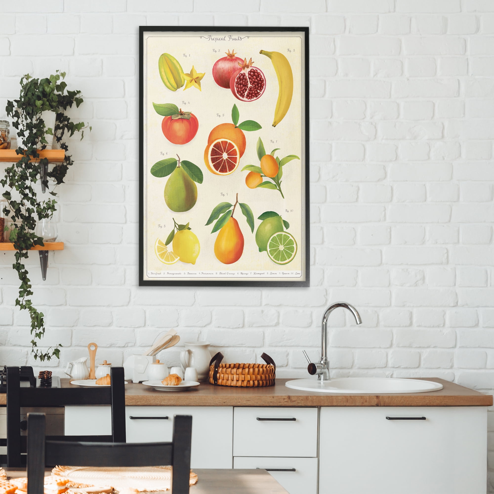Stupell Industries Vintage Tropical Fruit Studies Black Framed Giclee Art, design by Diane Neukirch
