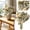 Beige, variant on ZOURIH 10 Pcs Faux Peony Stems Flowers Bulk Vintage Artificial Silk Peonies Stems Real Look Fake Peonies Branch for Vase Filler DIY Bouquet Centerpiece Home Indoor Outdoor Decor (Orange)