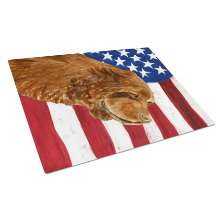 

Carolines Treasures SS4037LCB USA American Flag with Sussex Spaniel Glass Cutting Board Large 12H x 16W multicolor