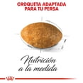 thumbnail image 3 of Alimento Seco para Perro Adulto Royal Canin Raza Persa 3.1 Kg Croquetas para Gato, 3 of 3