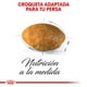 thumbnail image 3 of Alimento Seco para Perro Adulto Royal Canin Raza Persa 3.1 Kg Croquetas para Gato, 3 of 3