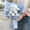 chiikawa-3, variant on Anime Chiikawa Plush Bouquet Doll Soft Cute Kawaii Collectible for Birthday Gift