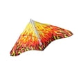 thumbnail image 4 of Flame Gayla Trendsetter Delta Kite, 4 of 4