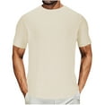 thumbnail image 3 of ZCFZJW Men's T Shirt Short Sleeve Crew Neck Athletic Workout T-Shirt Casual Summer Classic Basic Cotton Tee Shirts Tops Beige L, 3 of 6