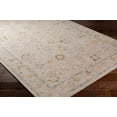 thumbnail image 3 of BoutiqueRugs Amina Traditional Floral Area Rug - Taupe, Medium Gray, Mustard - 9' x 12'2", 3 of 13
