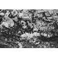 thumbnail image 2 of Johnson, Jason 24x17 White Modern Wood Framed Museum Art Print Titled - Found Textures XX, 2 of 4