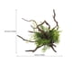 thumbnail image 2 of Planta de acuario, decoración de pecera, planta Artificial, ramita de árbol, adorno de paisaje para acuario, 2 of 5