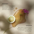 thumbnail image 2 of Vinci Botanicals Bergamot Geranium Hand Cleanser | Gentle Exfoliating Hand Wash | Cleanses & Hydrates Skin | Made with Essential Oils | Cruelty, Vegan & Paraben Free | Sweet & Fresh Aroma | 500 ml, 2 of 6