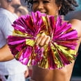 thumbnail image 5 of FESTFENDS High Temperature Membrane and Round Shape Cheer Poms Multi 2Pcs 13X12X12in, 5 of 6