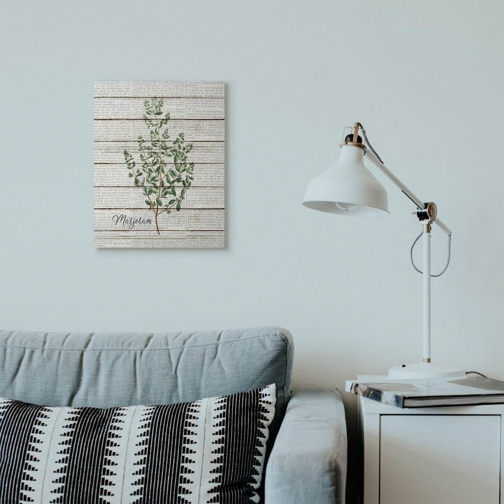Stupell Industries Marjoram Vintage Herb Kitchen Dining Room Word Collage Design Canvas Wall Art by Kimberly Allen