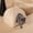 Beige, variant on KASENTEX Cat Bed for Indoor Cats, 2-in-1 Cat House Pet Supplies for Large Cat or Small Dog - Animal Cave, Cat Tent with Removable Washable Pillow Cushion