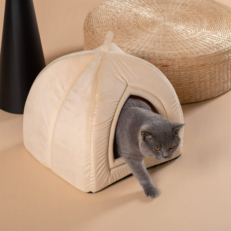 Igloo cat house walmart 2025