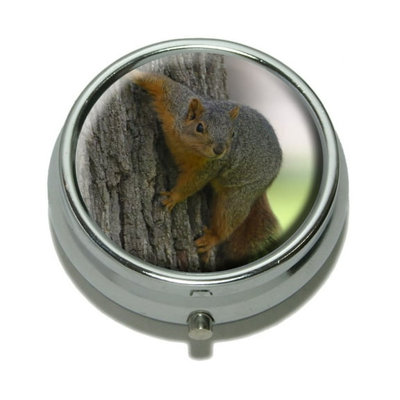 Squirrel Pill Box