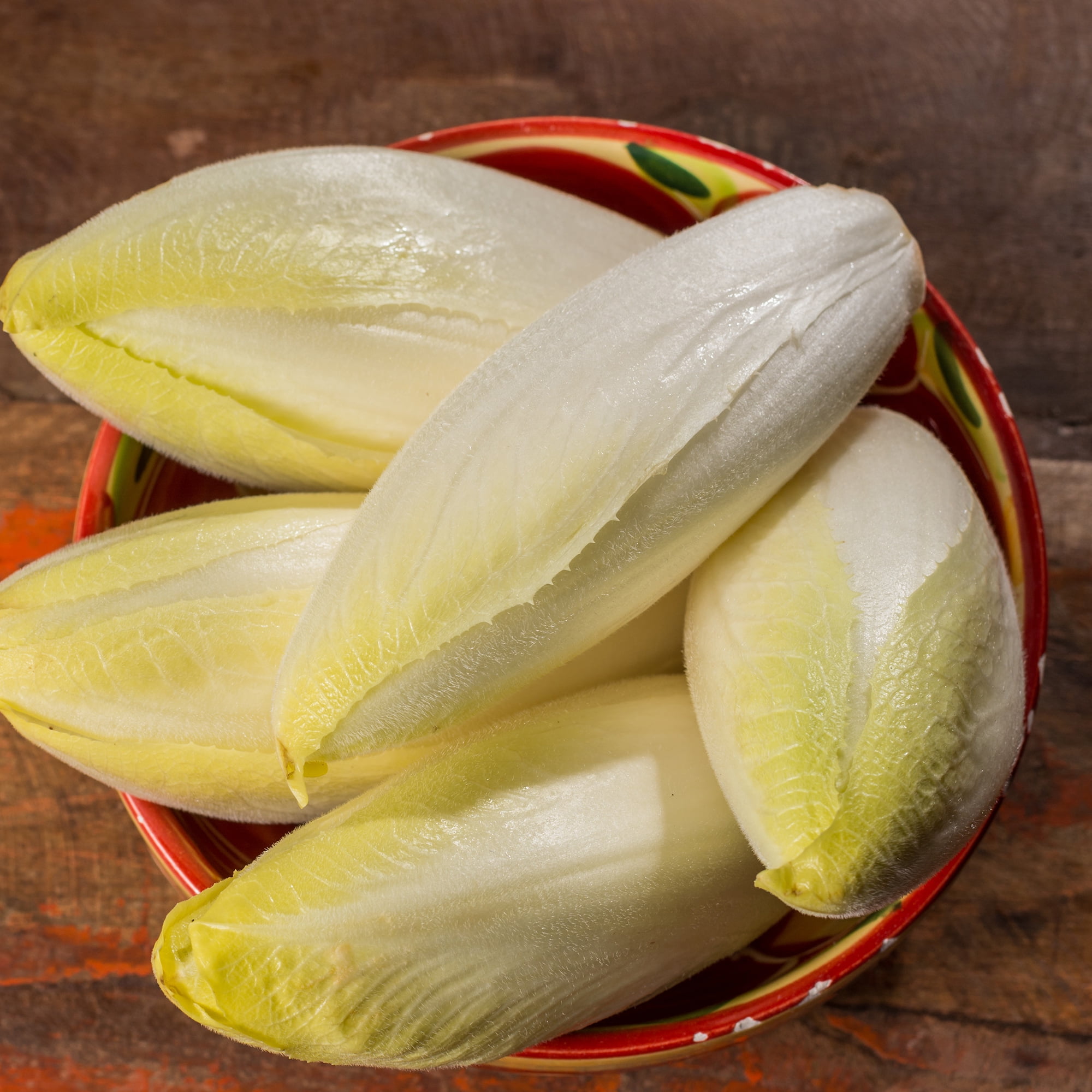 Seeds Endive Lettuce Leaf Yellow-Green Frisee Chicory Planting Heirloom Organic 