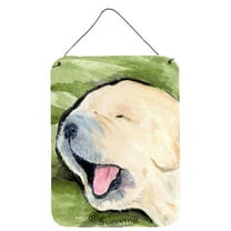 Caroline's Treasures SS8717DS1216 Golden Retriever Wall or Door Hanging Prints, 12x16, multicolor