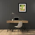 thumbnail image 3 of Van Swearingen, Debra 15x18 Black Ornate Wood Framed with Double Matting Museum Art Print Titled - Sprouting Ginkgo IV, 3 of 4