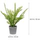 thumbnail image 2 of unbranded 1Ud Planta Artificial De Helecho En Maceta Para Y Reutilizable En, 2 of 6