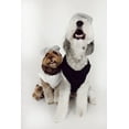 thumbnail image 6 of Midlee Salt & Pepper Dog Costume (Salt, XX-Large), 6 of 7